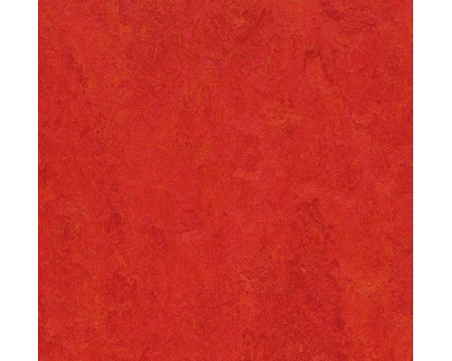 Натуральная плитка Marmoleum Modular Colour t3131 scarlet